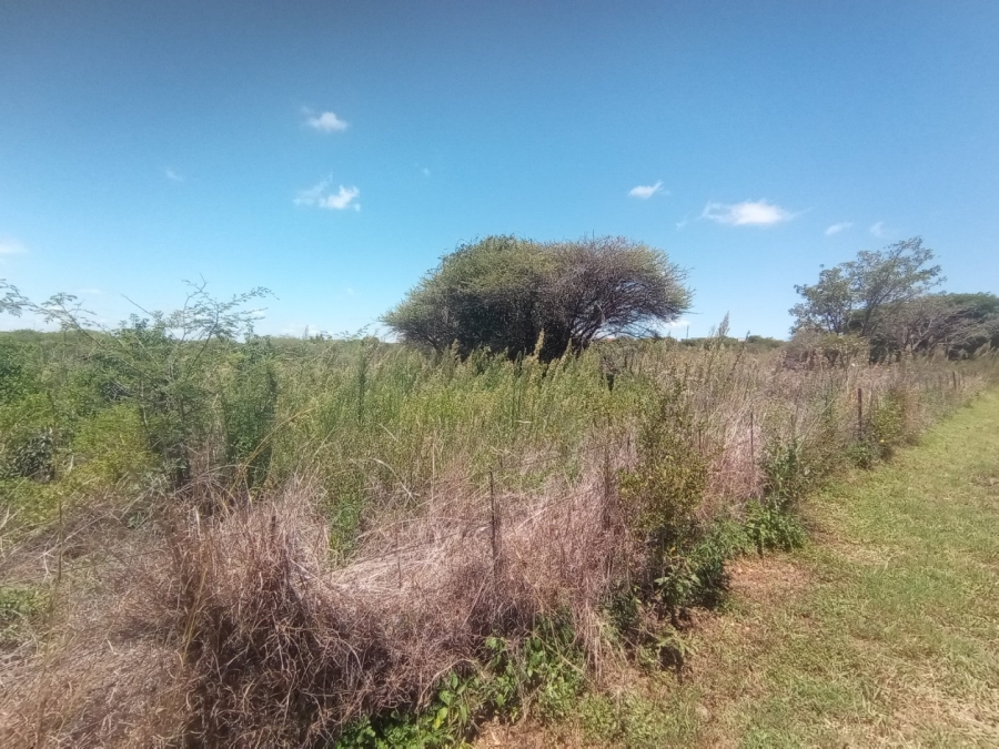 Commercial Property for Sale in Polokwane Rural Limpopo