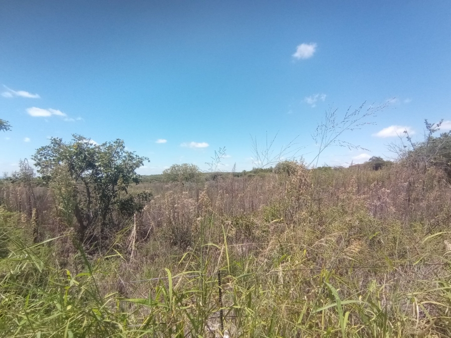 Commercial Property for Sale in Polokwane Rural Limpopo