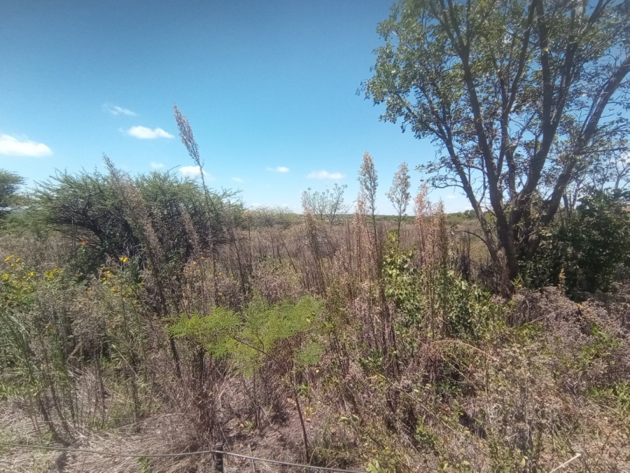 Commercial Property for Sale in Polokwane Rural Limpopo