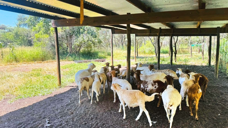 Commercial Property for Sale in Modimolle Rural Limpopo