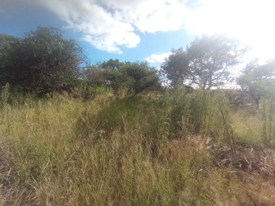 Commercial Property for Sale in Mokopane Rural Limpopo