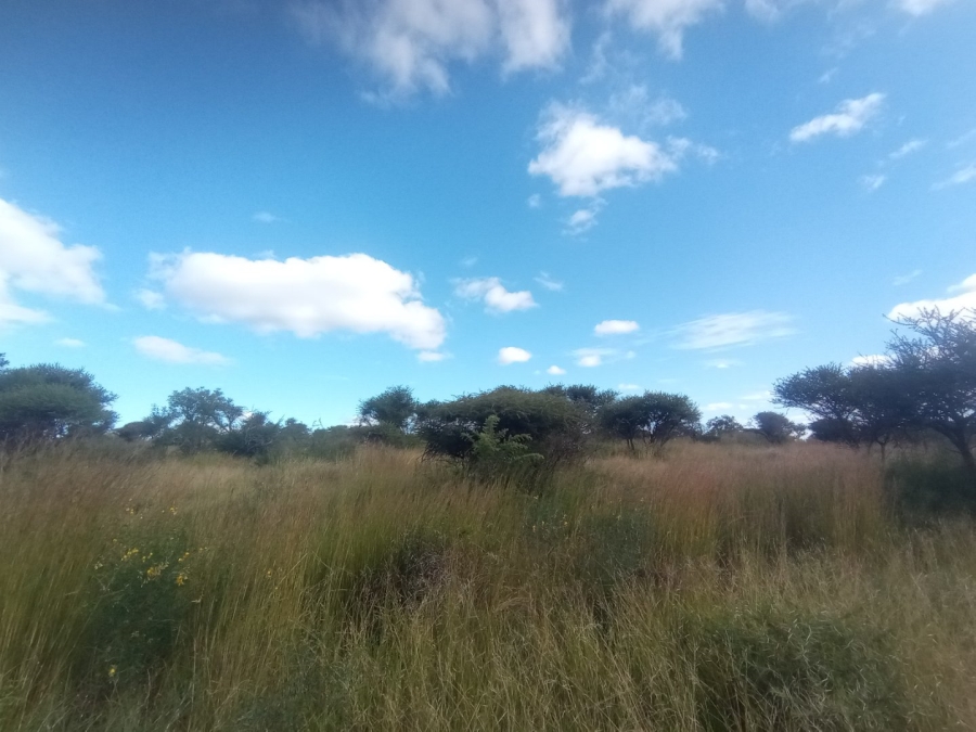 Commercial Property for Sale in Mokopane Rural Limpopo