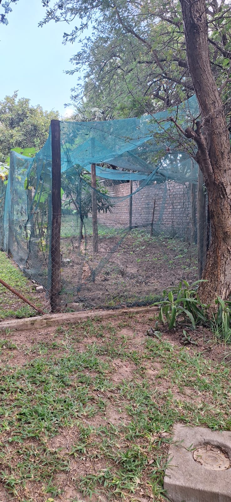 3 Bedroom Property for Sale in Kampersrus Limpopo