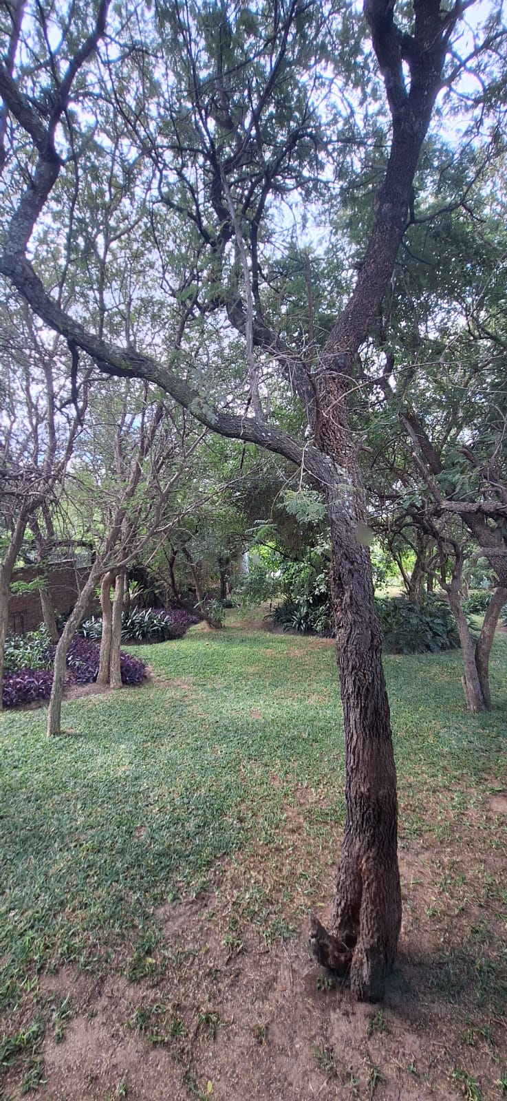 3 Bedroom Property for Sale in Kampersrus Limpopo