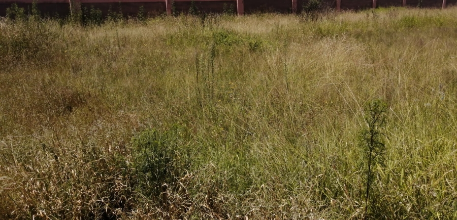 Commercial Property for Sale in Serala View Limpopo