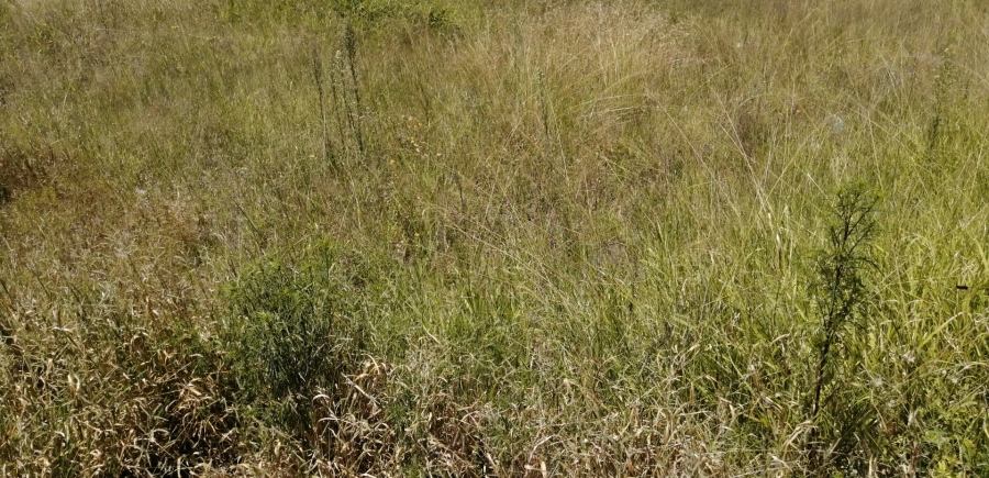 Commercial Property for Sale in Serala View Limpopo