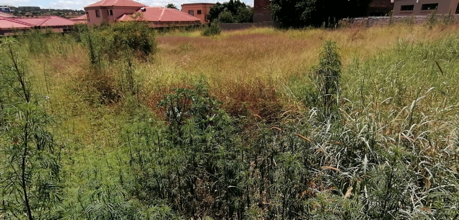 Commercial Property for Sale in Serala View Limpopo