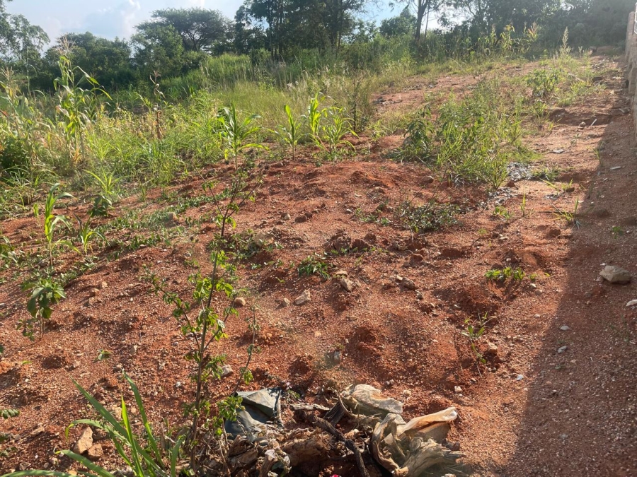 Commercial Property for Sale in Premierpark Limpopo