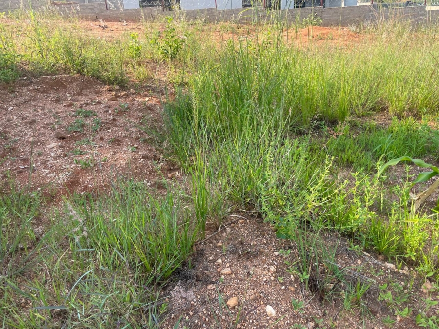 Commercial Property for Sale in Premierpark Limpopo