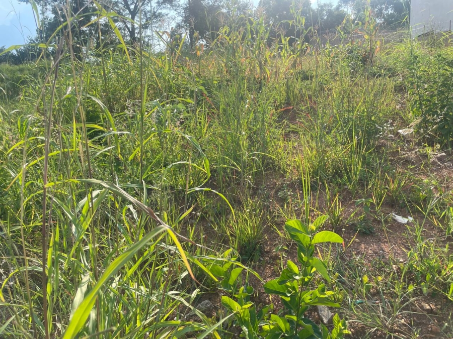 Commercial Property for Sale in Premierpark Limpopo