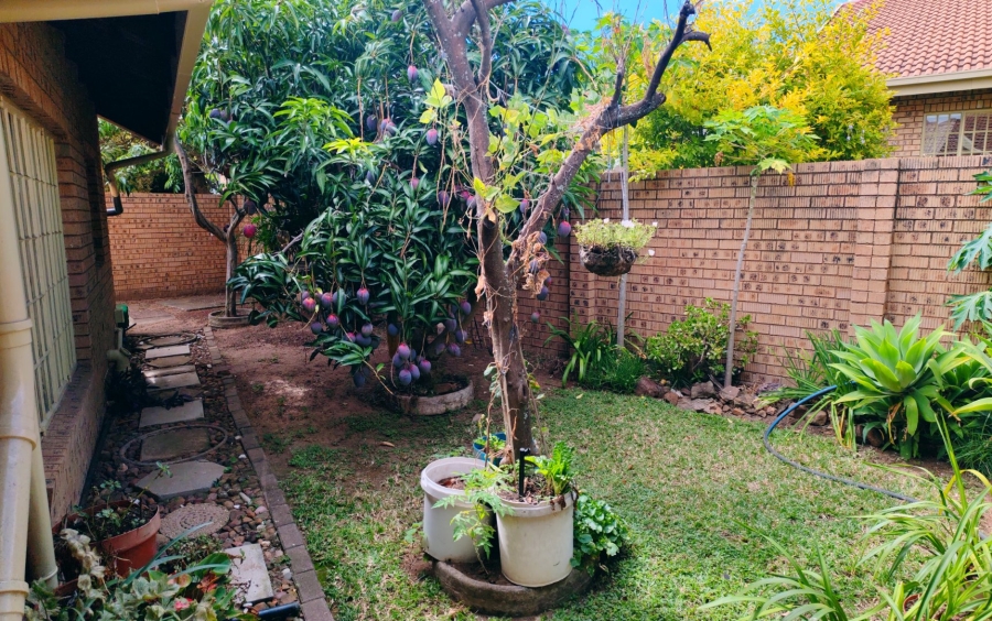 3 Bedroom Property for Sale in Modimolle Limpopo