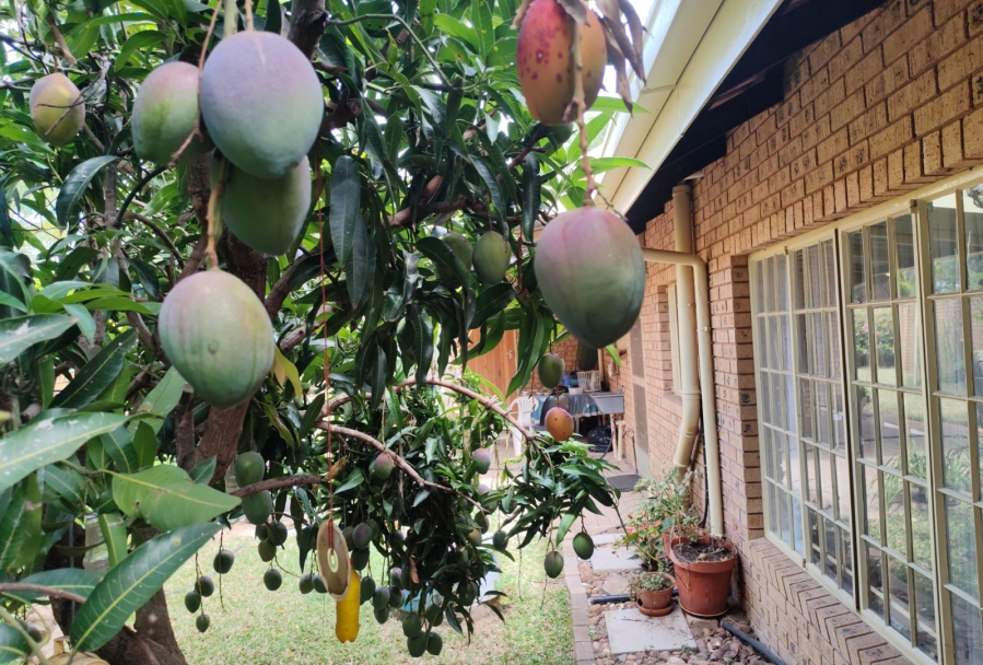 3 Bedroom Property for Sale in Modimolle Limpopo