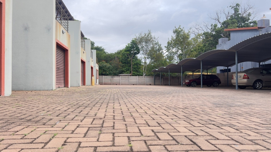To Let 3 Bedroom Property for Rent in Moregloed Limpopo