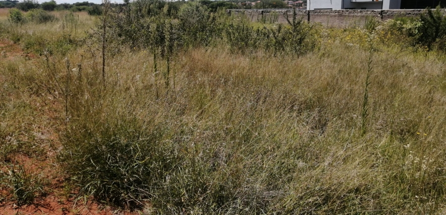 Commercial Property for Sale in Serala View Limpopo