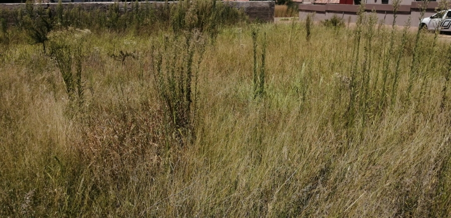 Commercial Property for Sale in Serala View Limpopo