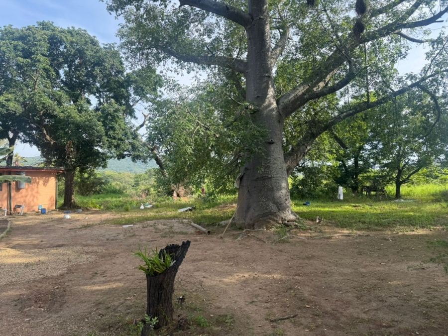 Commercial Property for Sale in Tzaneen Rural Limpopo