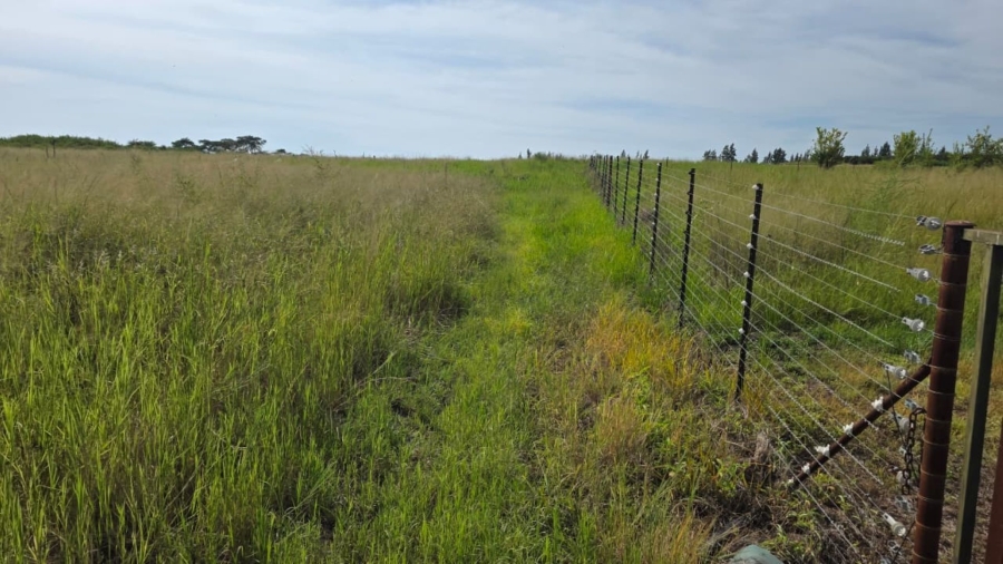 Commercial Property for Sale in Tzaneen Rural Limpopo