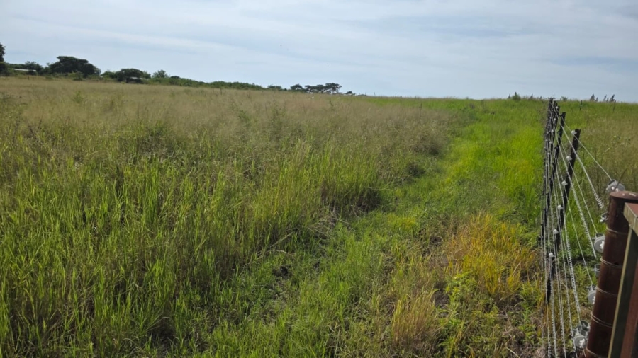 Commercial Property for Sale in Tzaneen Rural Limpopo