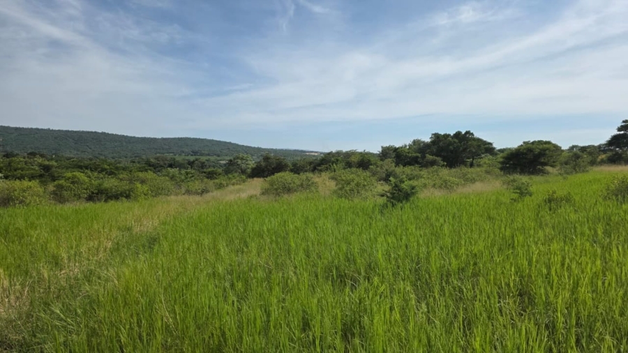 Commercial Property for Sale in Tzaneen Rural Limpopo