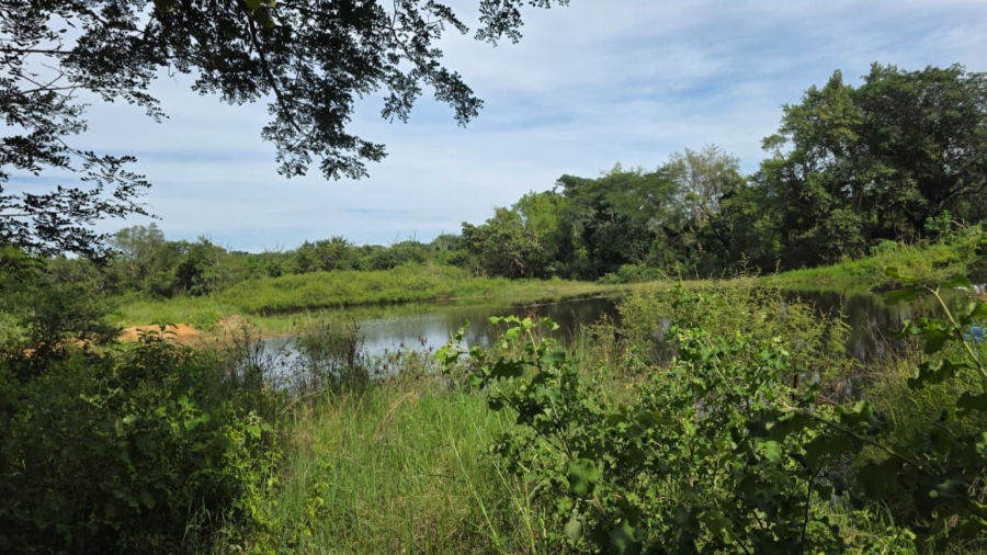 Commercial Property for Sale in Tzaneen Rural Limpopo