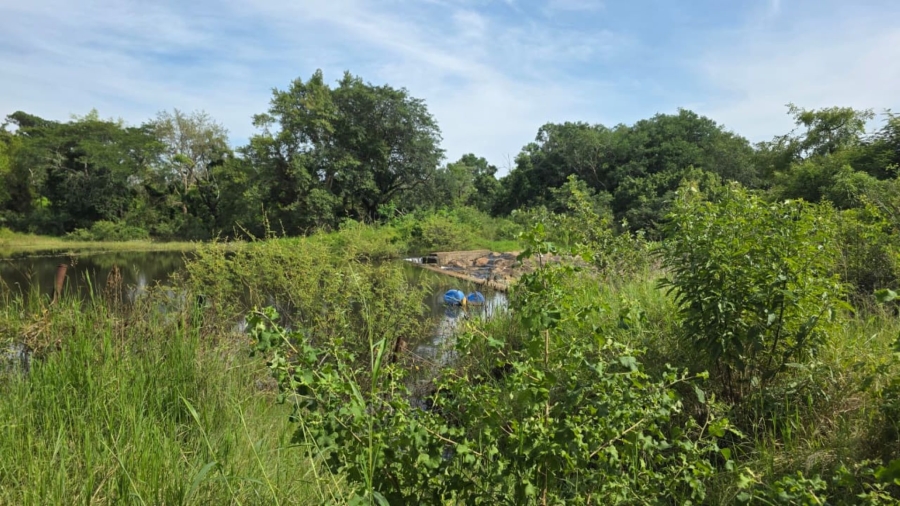 Commercial Property for Sale in Tzaneen Rural Limpopo