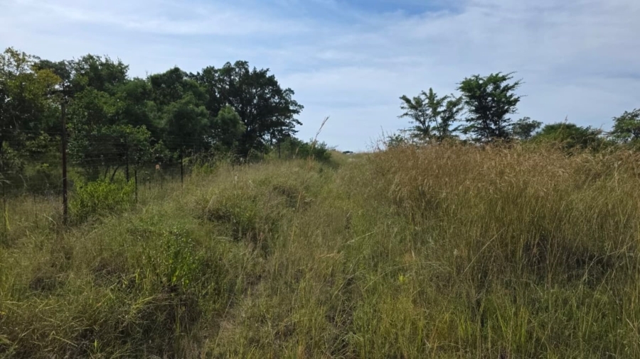 Commercial Property for Sale in Tzaneen Rural Limpopo