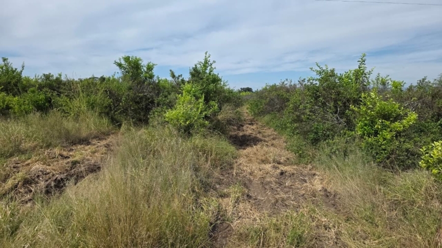 Commercial Property for Sale in Tzaneen Rural Limpopo