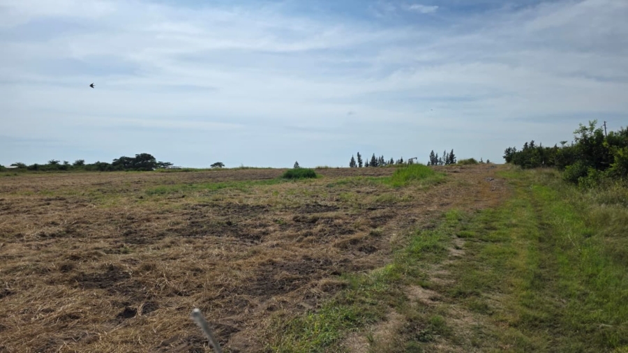 Commercial Property for Sale in Tzaneen Rural Limpopo