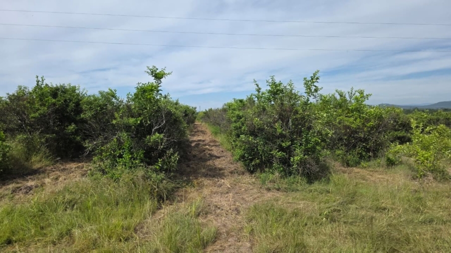 Commercial Property for Sale in Tzaneen Rural Limpopo