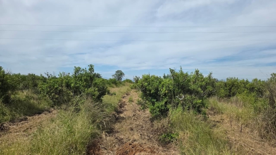Commercial Property for Sale in Tzaneen Rural Limpopo