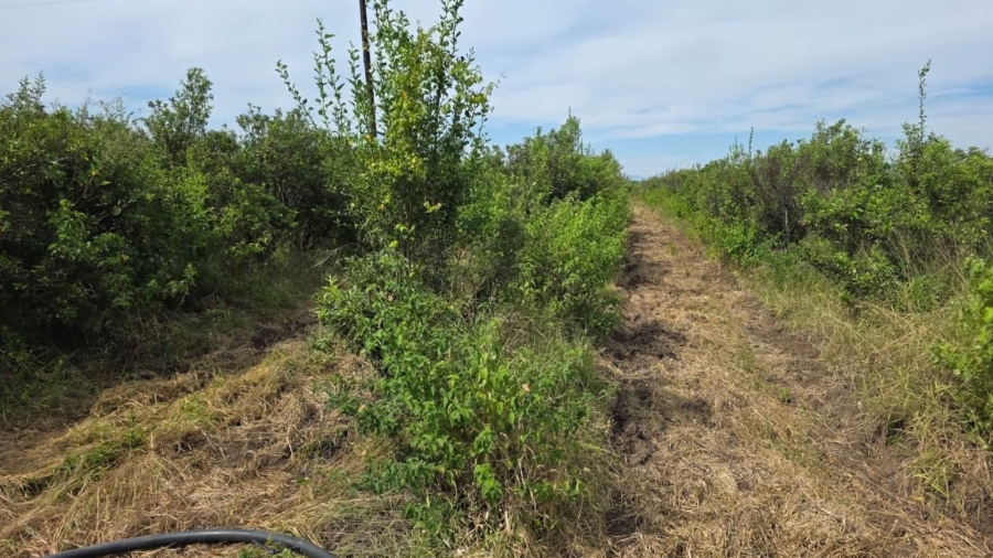 Commercial Property for Sale in Tzaneen Rural Limpopo