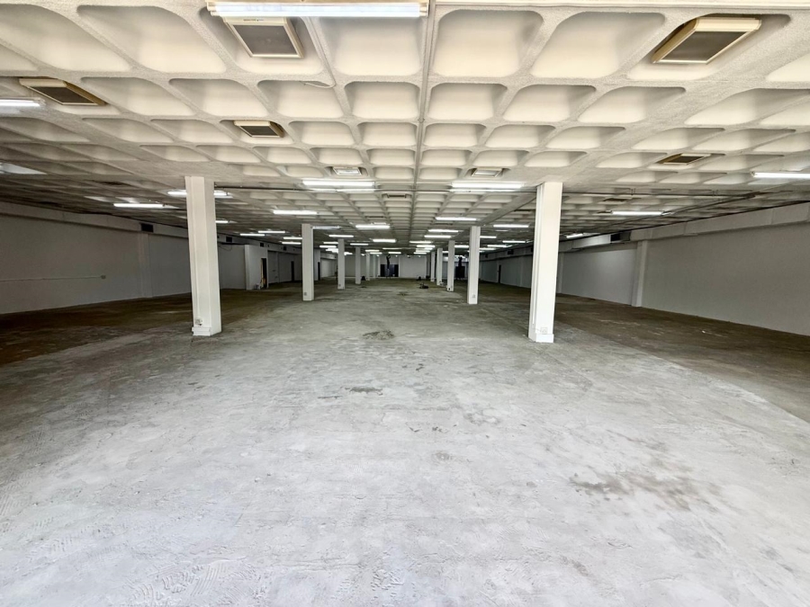 To Let commercial Property for Rent in Polokwane Central Limpopo