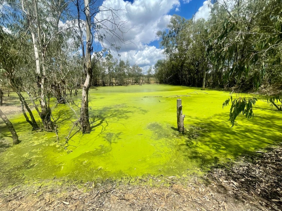  Bedroom Property for Sale in Leeukuil AH Limpopo