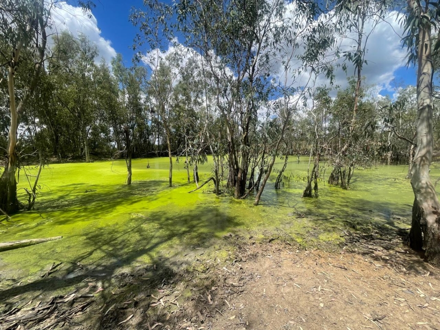 Commercial Property for Sale in Leeukuil AH Limpopo