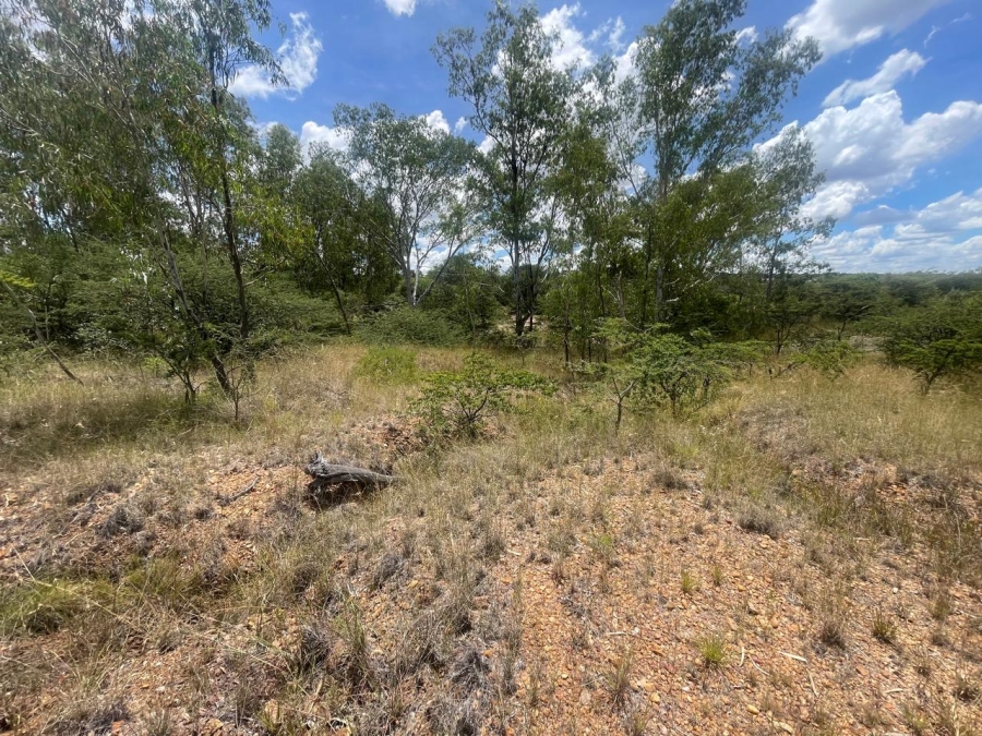 Commercial Property for Sale in Leeukuil AH Limpopo