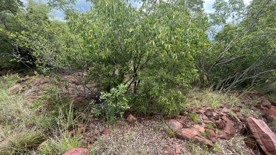 Commercial Property for Sale in Buffelspoort Eco Estate Limpopo