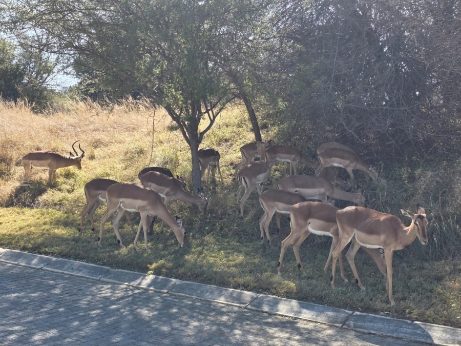 Commercial Property for Sale in Koro Creek Golf Estate Limpopo