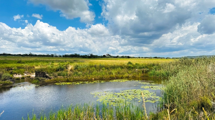 Commercial Property for Sale in Modimolle Rural Limpopo