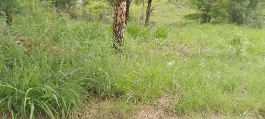 Commercial Property for Sale in Premierpark Limpopo