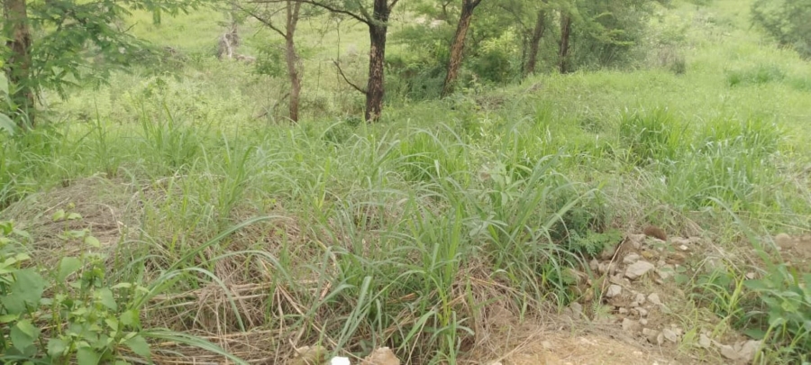 Commercial Property for Sale in Premierpark Limpopo