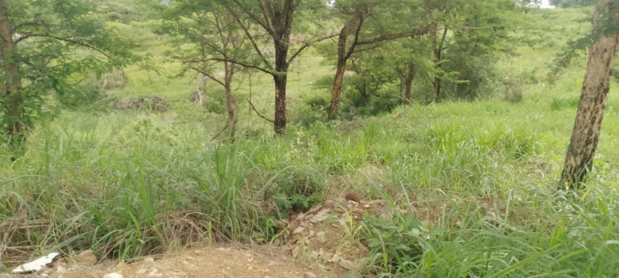 Commercial Property for Sale in Premierpark Limpopo