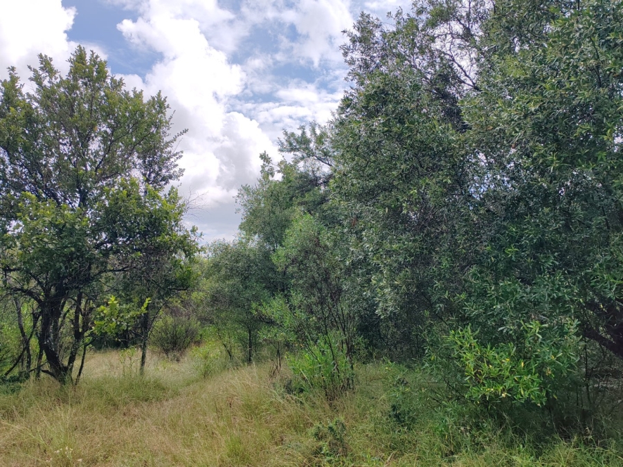 Commercial Property for Sale in Koro Creek Golf Estate Limpopo