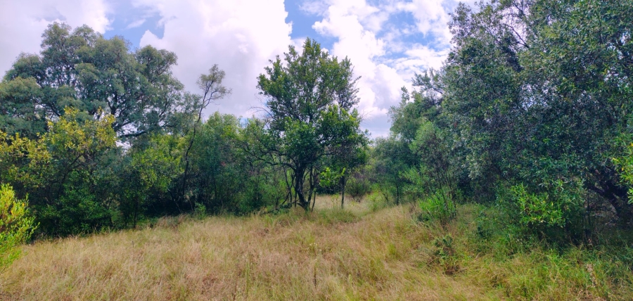 Commercial Property for Sale in Koro Creek Golf Estate Limpopo