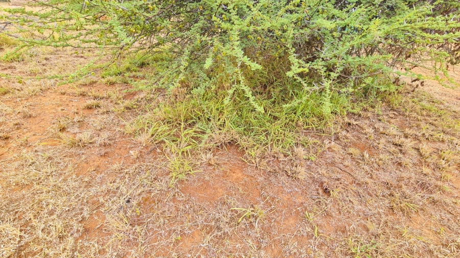 Commercial Property for Sale in Bendor Limpopo