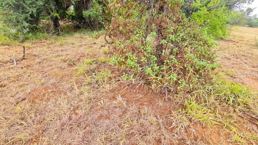 Commercial Property for Sale in Bendor Limpopo