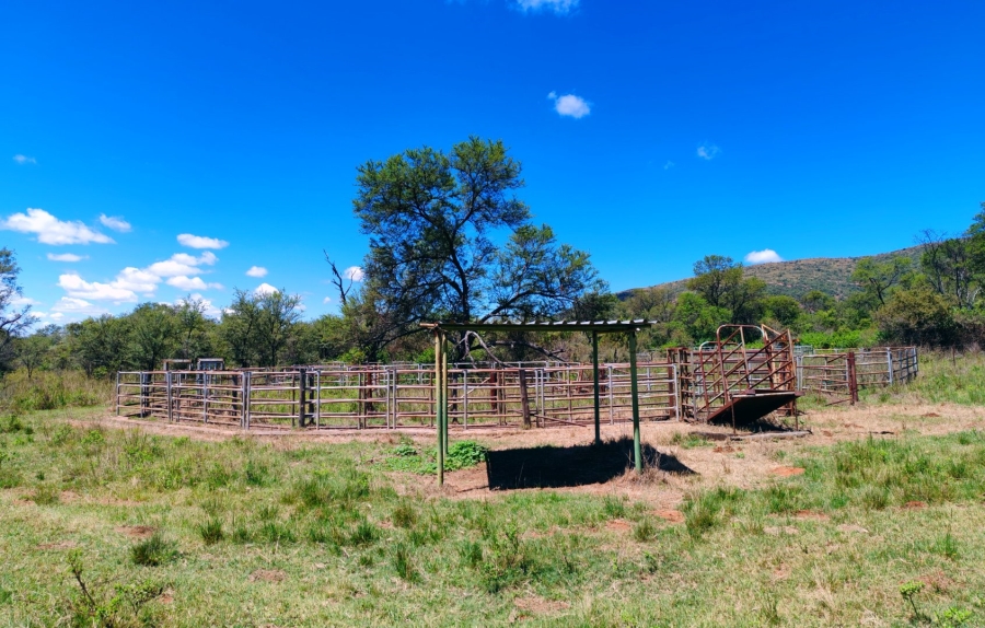 3 Bedroom Property for Sale in Modimolle Limpopo