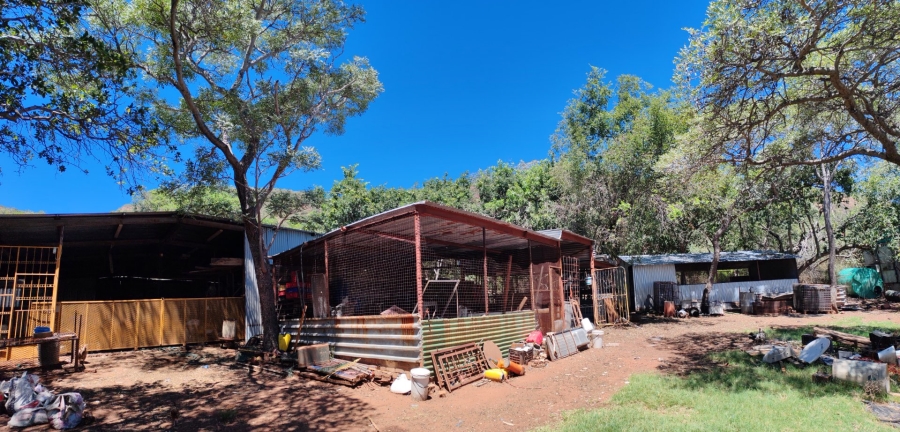 3 Bedroom Property for Sale in Modimolle Limpopo