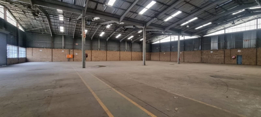 To Let Commercial Property for Rent in Nirvana Industrial Limpopo