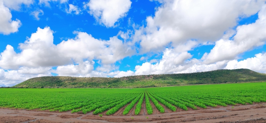 Commercial Property for Sale in Modimolle Limpopo