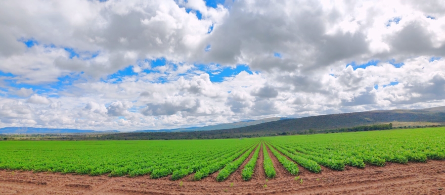 Commercial Property for Sale in Modimolle Limpopo